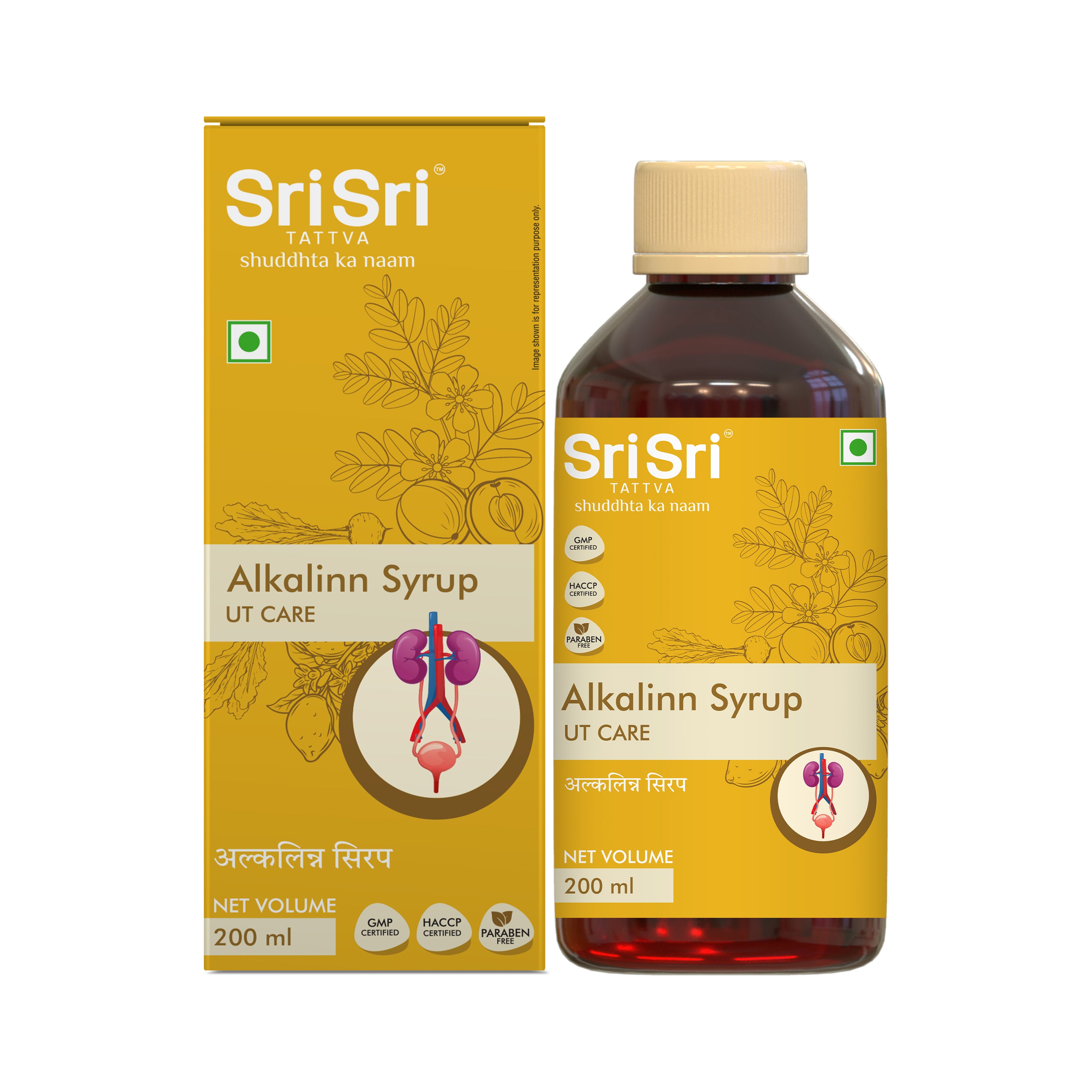 Alkalinn Syrup, For Urinary Tract Infections, 200 ml